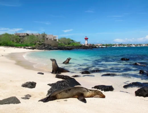 Visiting Galápagos