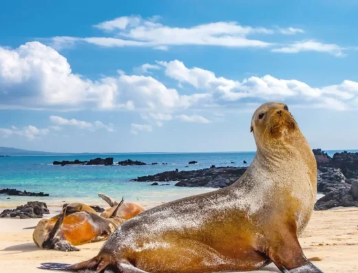 Visiting Galápagos